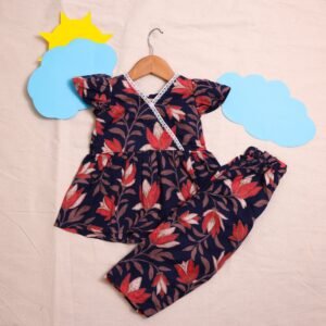 Blue Colour Cotton Co-ord set