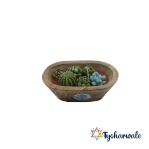 Cactus Bowl Candle | Medium size Handcrafted Cactus Candle | Eco-Friendly Candle for Home Decor & Gifting