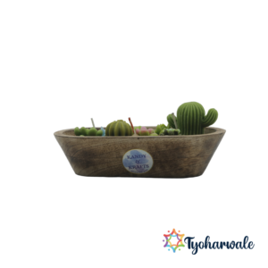Handcrafted Cactus Candle Bowl | Lemongrass Fragrance Candle | For Home Decor, Gifting & Festive season