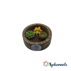 Cactus Bowl Candle | Small Cactus Wax Candle Bowl | Handcrafted Decorative Candle for Home, Gifting & Festive season
