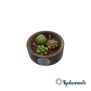 Cactus Bowl Candle | Handcrafted Small Cactus Wax Candle Bowl | Lemongrass Fragrance |