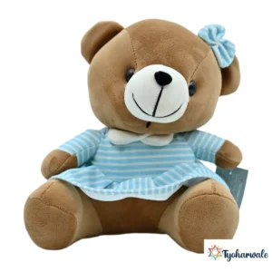 Teddy Bear Plush Romantic for Valentine’s Day | Soft Huggable Teddy for Teddy Day | Valentine Week Gift for Couples |