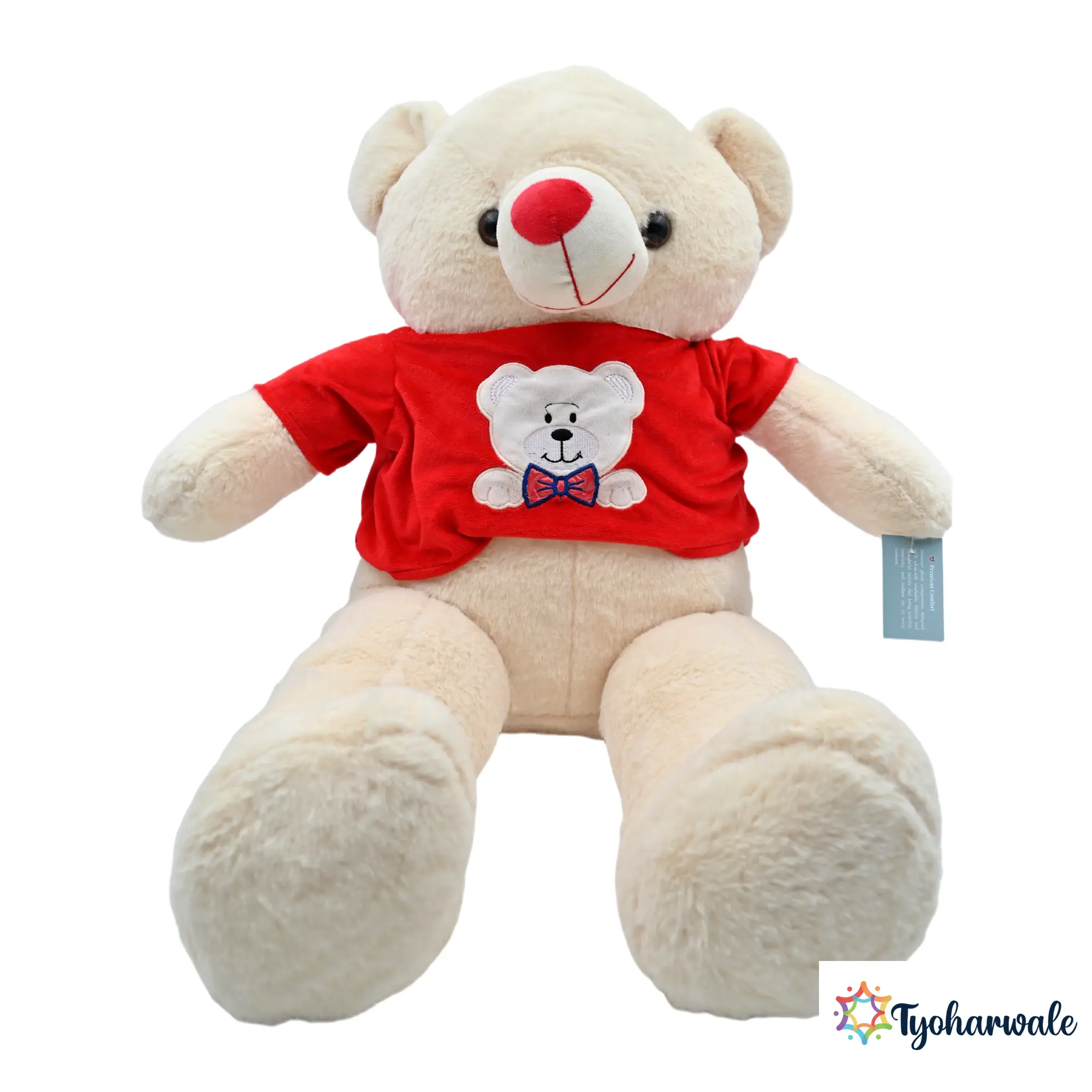 Teddy Bear Romantic Gift for Valentine’s Day | Soft Huggable Teddy for Teddy Day | Valentine Week Gift for Couples |