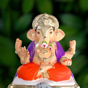 Dagadusheth Orange (12" - RV)
