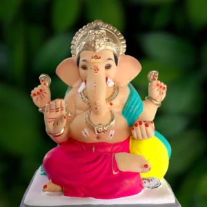 Shivrekar Load Pink (15 - RV)