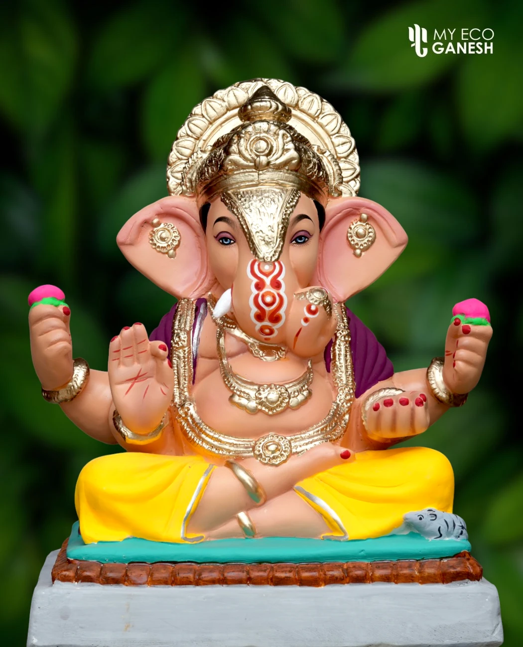 15 Inch Dagdusheth Style Ganpati with yellow dhotar and purple uparna