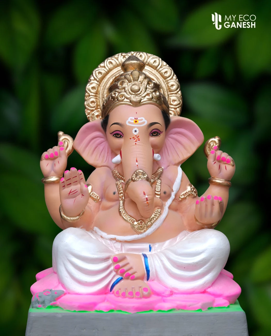 15 Inch Kamalasan Bappa with white dhotar seated on a pink Kamalasan