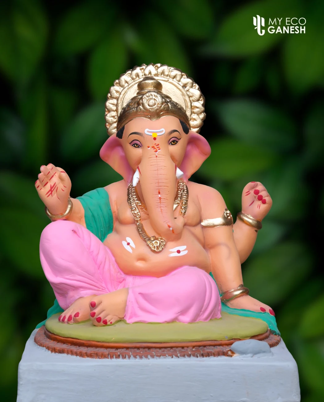 15 Inch Lambodar Bappa with Mukut wearing a pink dhotar and green uparna