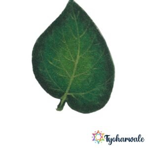 Vidyache Pan Ready-Made Rangoli Mat with realistic green betel leaf design for pooja and festive decoration.